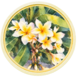 Badge_Frangipanier