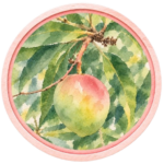 Badge_Mangue